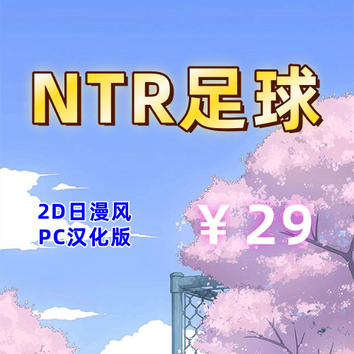 NTR足球(2D，PC汉化版)-天玉二号店